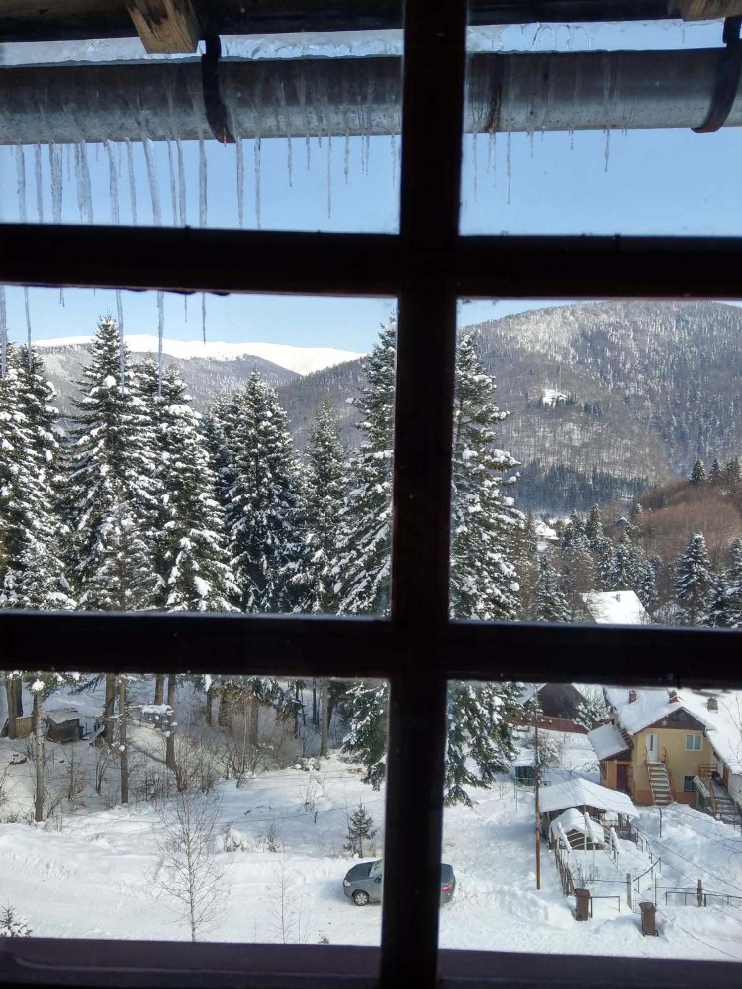 Grandpa'S Hidden Crib, 6 Bedroom, Pet Friendly Синая Экстерьер фото