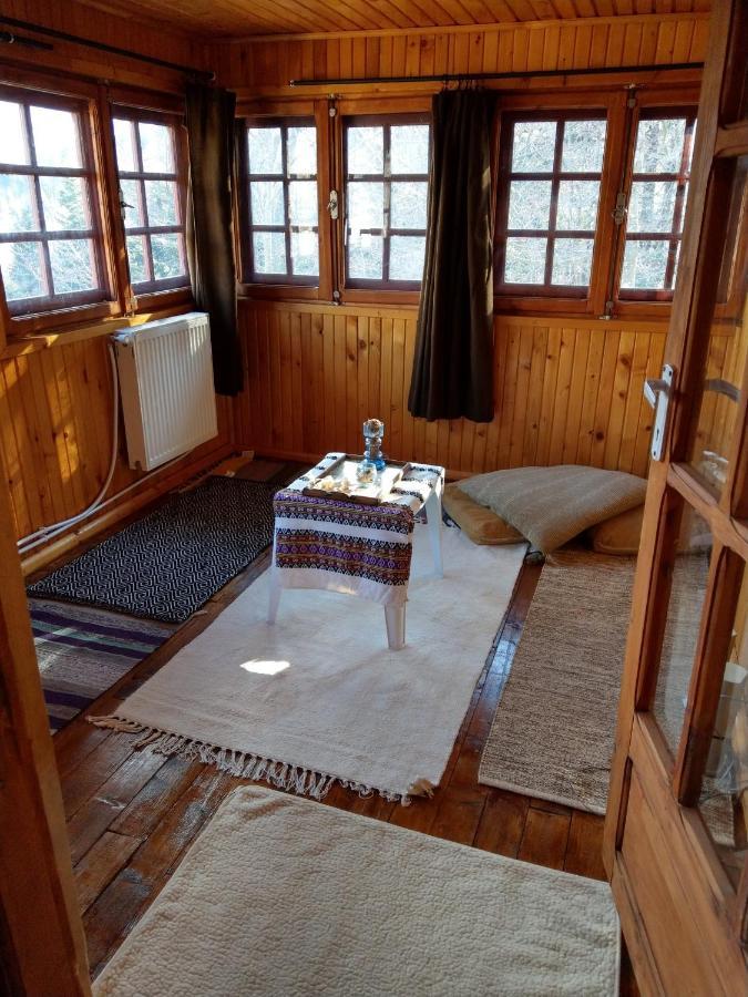 Grandpa'S Hidden Crib, 6 Bedroom, Pet Friendly Синая Экстерьер фото