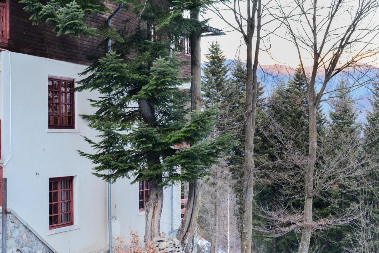 Grandpa'S Hidden Crib, 6 Bedroom, Pet Friendly Синая Экстерьер фото