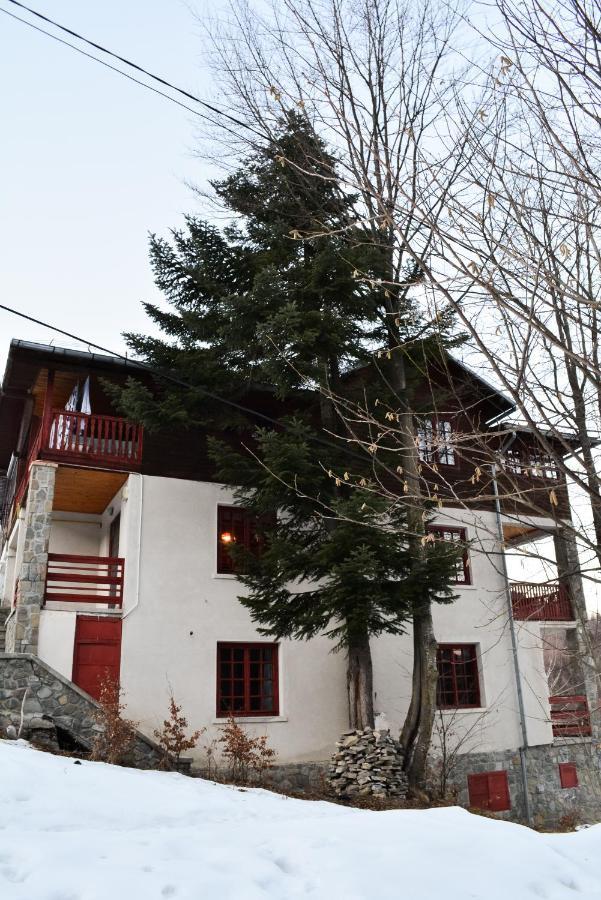 Grandpa'S Hidden Crib, 6 Bedroom, Pet Friendly Синая Экстерьер фото
